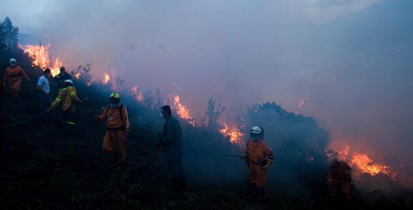 "El Niño" no tiene nada que ver con los incendios forestales en Colombia, la culpa es de los pirómanos