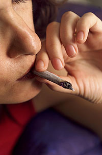 Consumo permanente de marihuana aumenta al doble el riesgo de psicosis