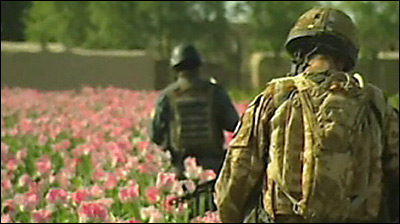 EEUU defiende ahora el cultivo de opio en Afganistán