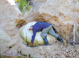 Hallan en Uruguay un fósil entero de gliptodonte de 30.000 años de antigüedad