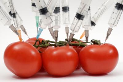 Científicos rusos aseguran que los alimentos transgénicos afectan al crecimiento y a la capacidad reproductiva