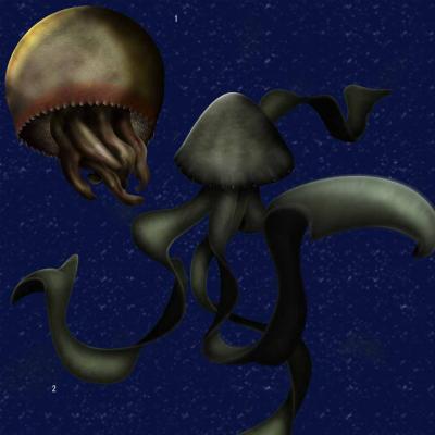 Sutil medusa abisal se dejó filmar en el mar
