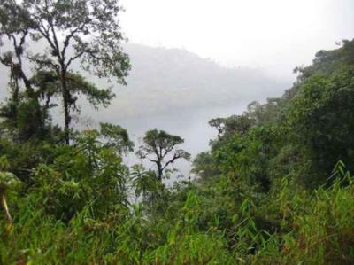 Sismo en el Amazonas peruano