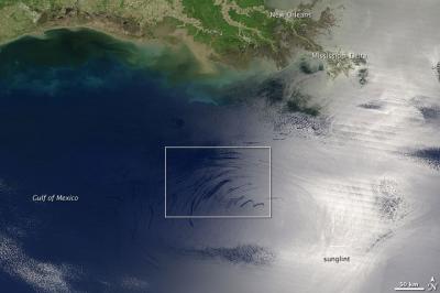 Catástrofe ambiental: Científicos de EEUU aseguran que el derrame en el Golfo de México es el doble de lo estimado