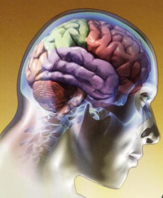 Los 20 secretos para mantener su cerebro vivo