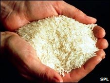 El arroz blanco aumenta riesgo de diabetes