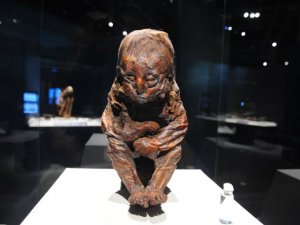 Exponen momia de niño peruano de 6.420 años