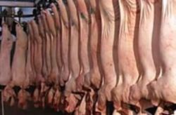 Se abre mercado canadiense a la carne ovina uruguaya