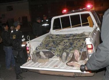 4 españoles fallecidos y cinco heridos al caer autobús a un barranco en Perú