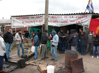 Crisis en industrias del cuero y la carne en Uruguay: 1.800 obreros enviados al seguro de paro