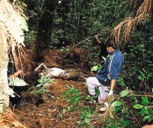 Hallan 38 cadáveres en fosas ilegales en México