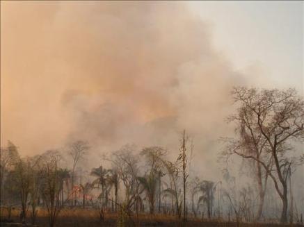 Campesinos bolivianos queman un millón y medio de hectáreas y afectan varios vuelos