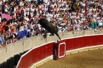 Espectacular salto de toro deja 30 heridos en España