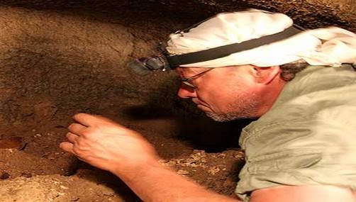 Descubren en Australia el animal fósil más antiguo de la Tierra