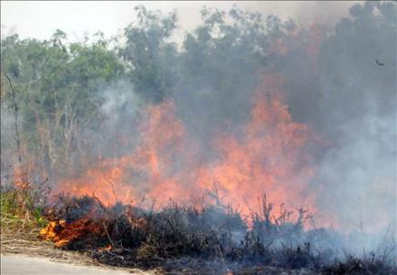 Evo Morales pide ayuda para frenar los incendios que arrasan la Amazonía