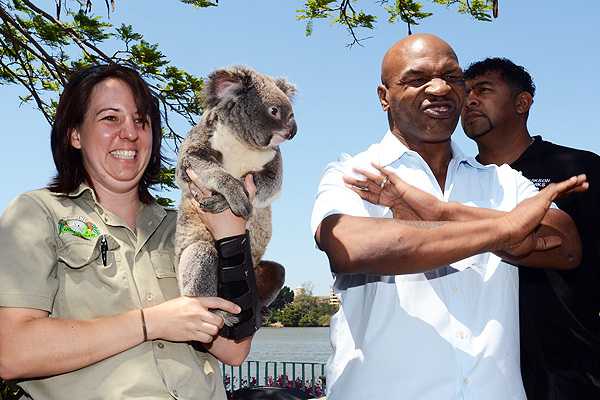 Koala asustó a Mike Tyson