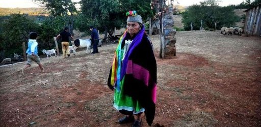 Chile: Ataques incendiarios no ceden en región mapuche militarizada