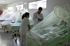 7 muertos y cientos de afectados por dengue en Paraguay enciende luz roja en la región