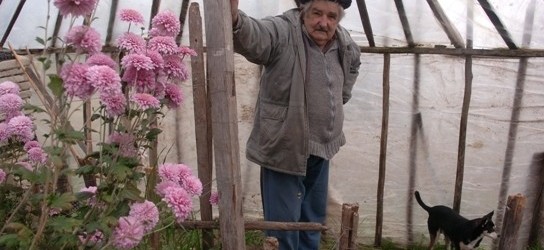 Mujica: el día que tembló el marrón y tembló el marronero