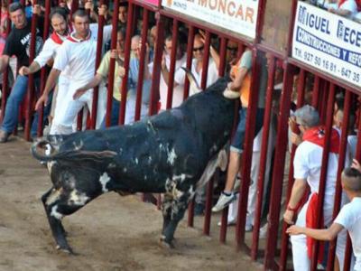 Toro mete cuerno en valla de encierro y mata a un hombre en España