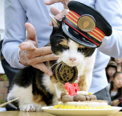 Japón llora la muerte de Tama, la gata jefe de estación ferroviaria