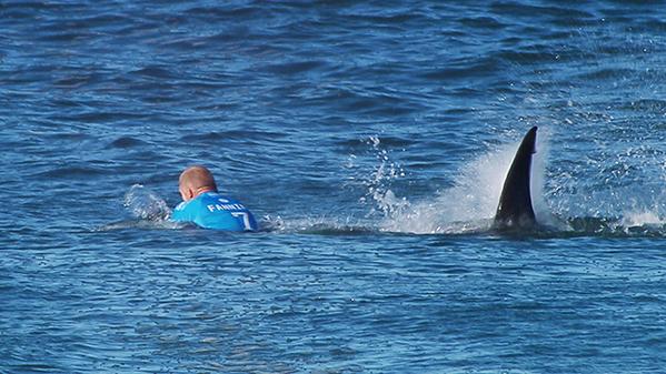 Triple campeón mundial de surf atacado por tiburón en pleno torneo