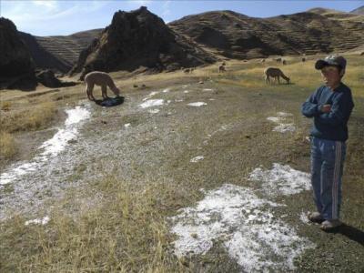 Perú declara el estado de emergencia durante 45 días por heladas