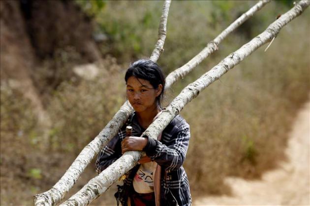 Birmania sentencia a 153 chinos a cadena perpetua por tala ilegal
