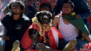 Petardo, el perro que se convirtió en héroe de las protestas en Bolivia