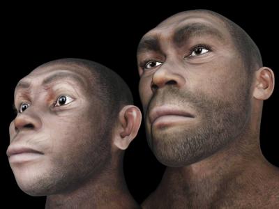 El origen del rostro humano