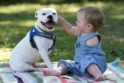 La conmovedora amistad entre una niña que nació con un solo brazo y su perro