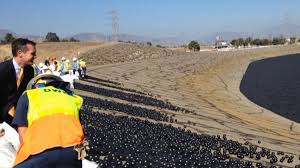 Los Ángeles lanza millones de pelotas en un embalse para combatir la sequía