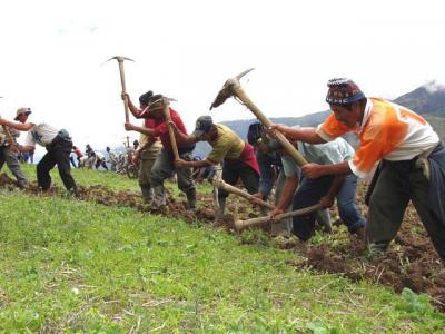 Campesinos peruanos revelan sus trucos contra el cambio climático