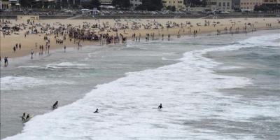 El incremento de ataques de tiburón pone en jaque a autoridades australianas