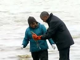 Un salmón desova a los pies de Obama