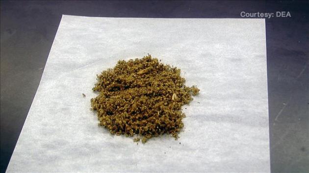 Parece marihuana y huele a sandía: "Spice", la nueva droga sintética de EE.UU.