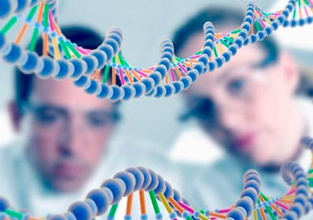 Desarrollan estudio genético que revela edad biológica de una persona