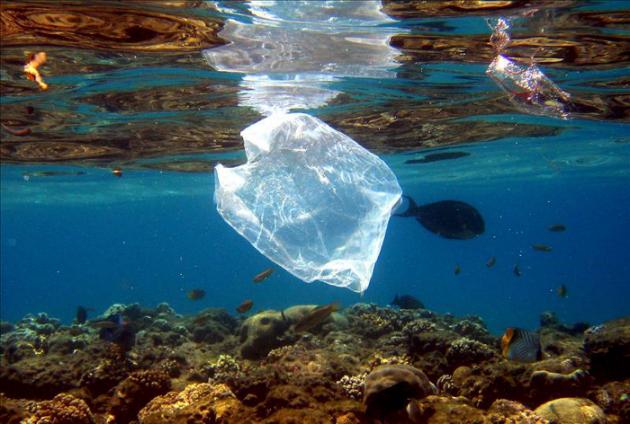 Francia prohibirá las bolsas de plástico en las tiendas desde enero de 2016