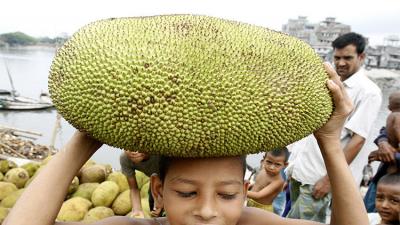 "Una fruta puede ayudar con el problema del hambre en la India, pero nadie la quiere"; asegura bióloga