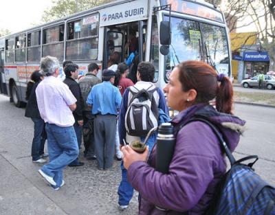 Estudio concluye que ómnibus chinos usados en el transporte no se adecuan al cuerpo de uruguayos