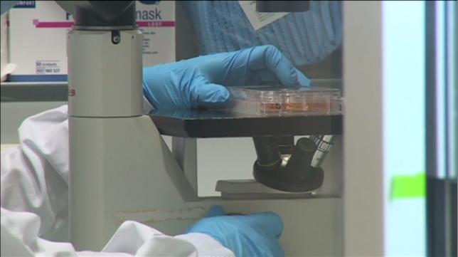 Consiguen crear espermatozoides en un laboratorio por primera vez en la historia