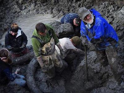 Agricultor encuentra huesos de mamut en campo de soya