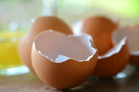 ¡No tires a la basura las cascaras de huevo!