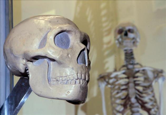 El Homo Sapiens llegó a Asia hace al menos 80.000 años, antes de lo pensado