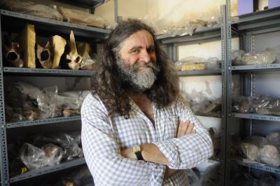 El hallazgo uruguayo que desafía a la prehistoria