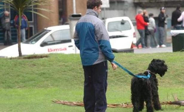 Intendencia de Montevideo multará a quienes no levanten la caca de su perro