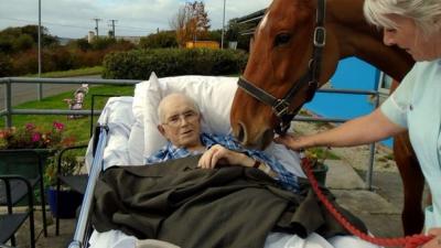 Un caballo fue llevado a un hospital para ver por última vez a su dueño