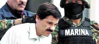 Conmoción en Argentina: buscan a "El Chapo" Guzmán oculto en montañas
