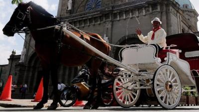 China mostrará 500 caballos que fueron enterrados vivos hace 25 siglos