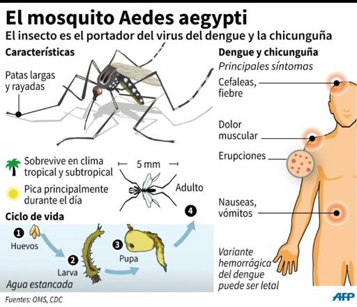 México aprueba la primera vacuna contra el dengue en el mundo